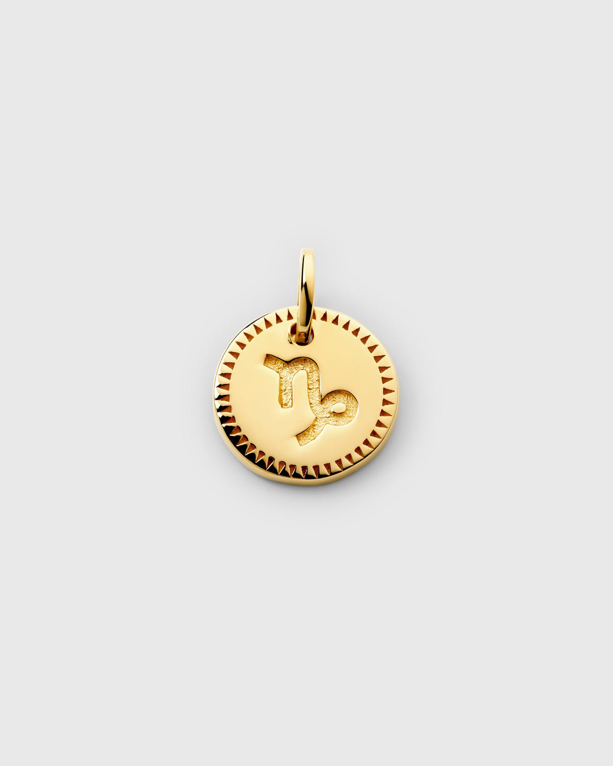 A product shot of the Beloved Zodie Pendant in gold, featuring the Capricorn charm with its engraved zodiac symbol and a decorative, patterned border.