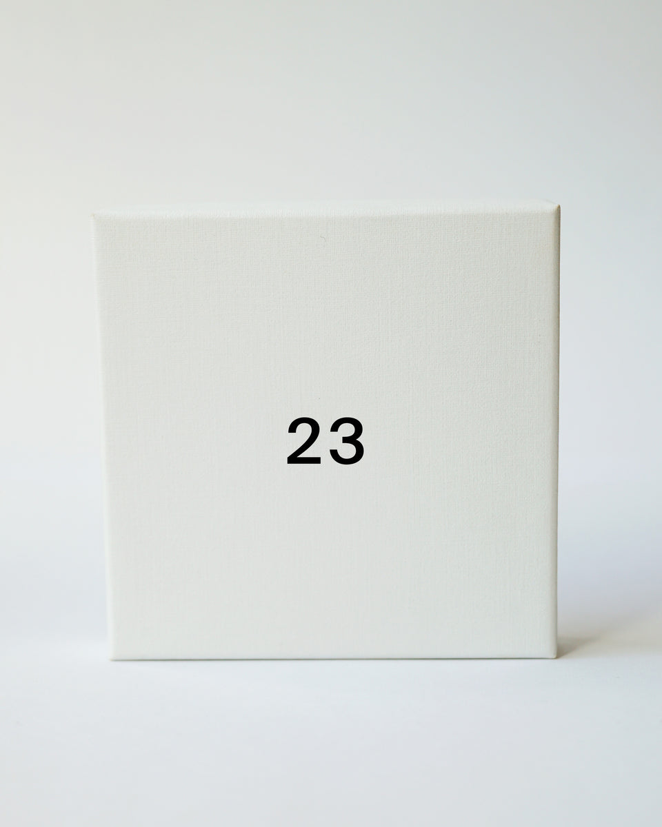 Advent Calendar Door 23